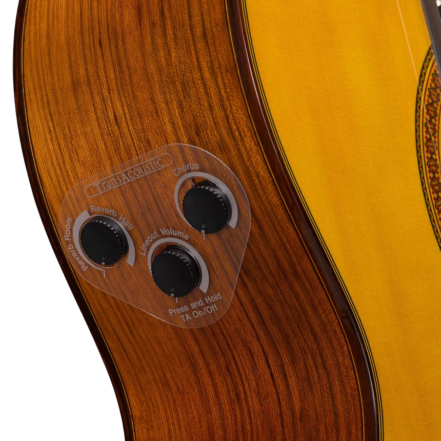 Guitarra Clásica Yamaha Transacoustic Cg-ta Natural