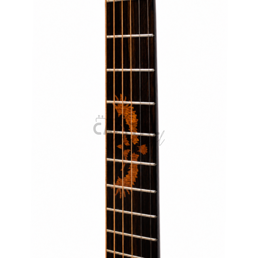 Guitarra Electroacústica Signature Martin Shawn Mendes Color Natural