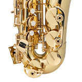Saxofón Alto Aureal Eb Laqueado A-a838 L Alta Calidad, Kit