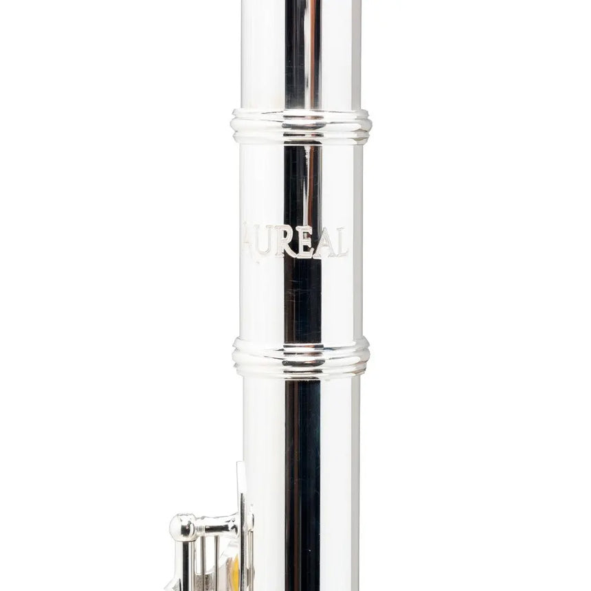 Flauta Transversal Aureal A-fl510s Kit