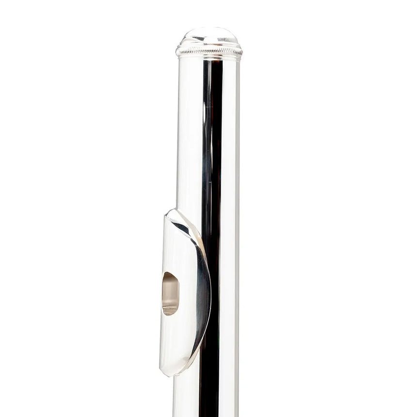Flauta Transversal Aureal A-fl510s Kit