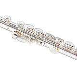 Flauta Transversal Aureal A-fl510s Kit