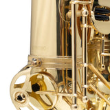 Saxofón Tenor Aureal At818l Laqueado Latón Con Estuche Y Accesorios