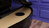 Micro Gand Piano digital Roland GP-3 Polished Ebony