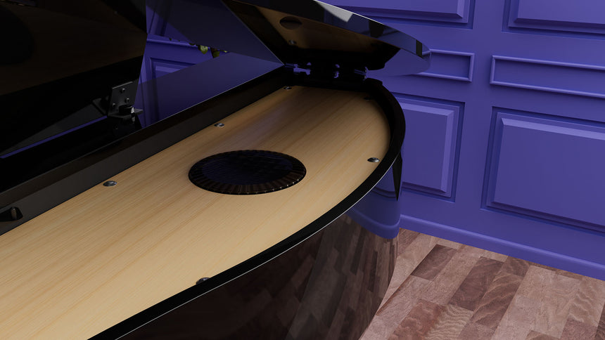 Micro Gand Piano digital Roland GP-3 Polished Ebony