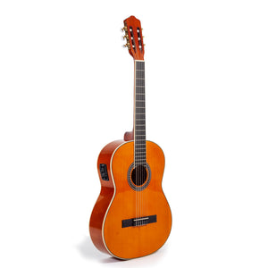 Guitarras Acústicas