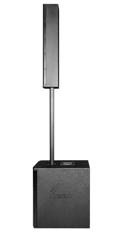 Sistema Melo Nt700 C/subwoofer De 12" 700w Rms Color Negro