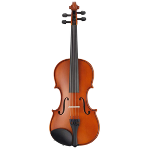 Violín Acústico